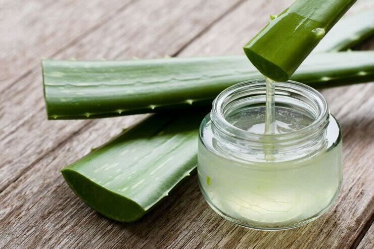 aloe vera succo