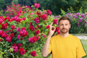 Fiori e in primo piano uomo fa ok con le dita